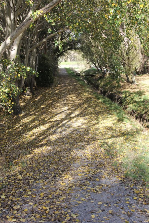 Refreshstay Palmerston North Buitenkant foto