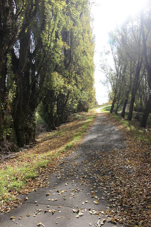 Refreshstay Palmerston North Buitenkant foto
